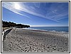 IMG_1233.jpg