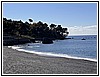 IMG_1234.jpg