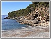 IMG_1235.jpg