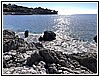 IMG_1244.jpg
