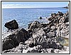 IMG_1245.jpg