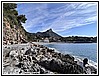IMG_1246.jpg