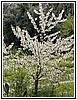 IMG_1873.jpg