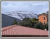 IMG_1938.jpg