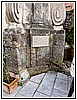 IMG_3165.jpg