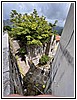 IMG_3506 Giardino pensile.jpg