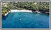 1103 19 luglio 2023.jpg