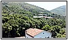 1110 19 luglio 2023.jpg