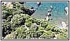 1131 19 luglio 2023.jpg
