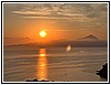 IMG_4561.jpg