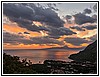 IMG_4584.jpg