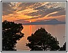 IMG_4846.jpg