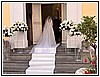 IMG_5239.jpg