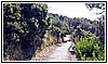1560 04 ottobre 2023 Cala Jannita.jpg
