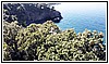 1561 04 ottobre 2023 Cala Jannita.jpg