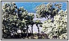1563 04 ottobre 2023 Cala Jannita.jpg