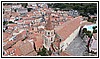 1590 05 ottobre 2023 Il Campanile.jpg