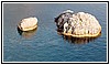 1602 05 ottobre 2023 Giallo Topazio - Punta Santavenere.jpg