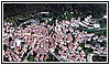 0017 Il Paese 05-01-2024.jpg