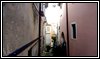 Vicoli 45 26-01-2024.jpg