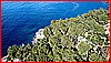 0378 Cersuta 07-02-2024.jpg