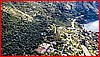 03 Acquafredda 24-03-2024.jpg