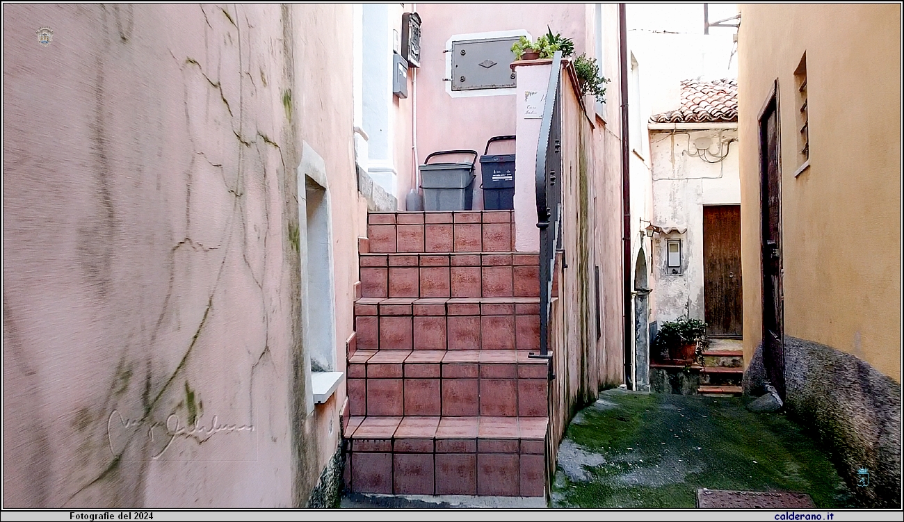 256 0168 Vicoli 26-01-2024.jpg
