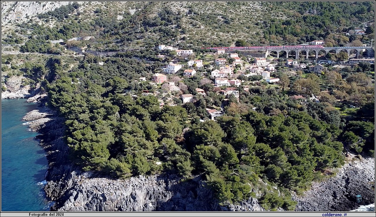 841 0370 Cersuta 07-02-2024.jpg
