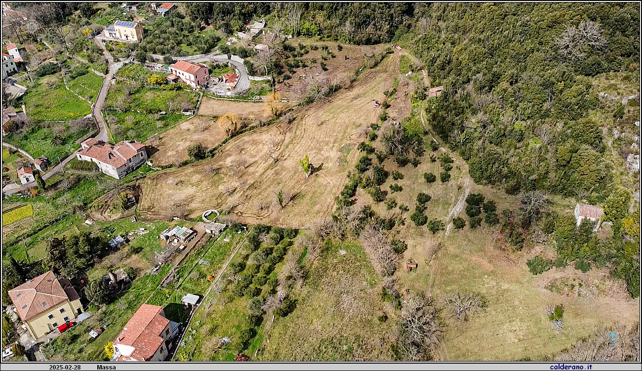 0138 Massa 28-02-2025.jpg