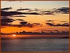57 Opacarofilia IMG_2098.jpg
