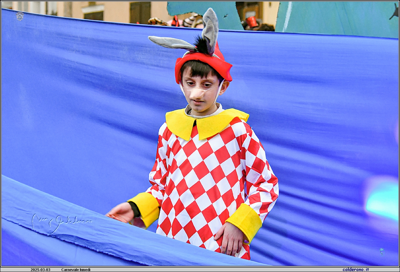 25C_4851.JPG
