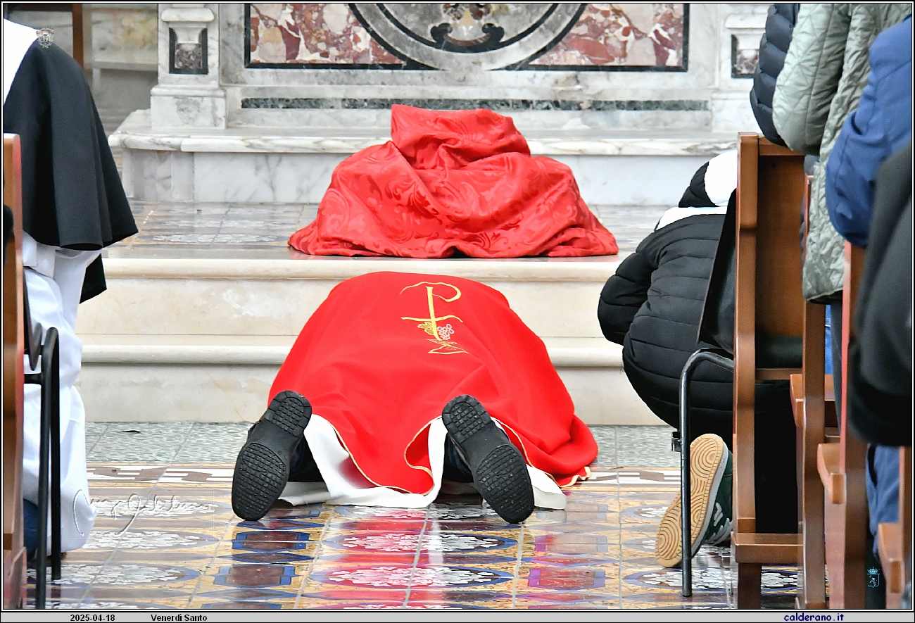 25D_6491.JPG