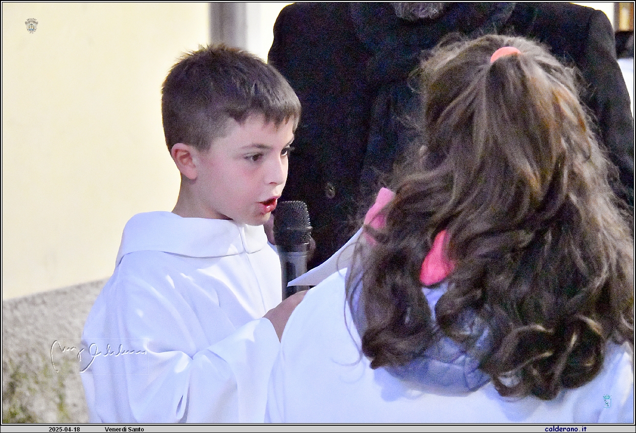 25D_6584.JPG