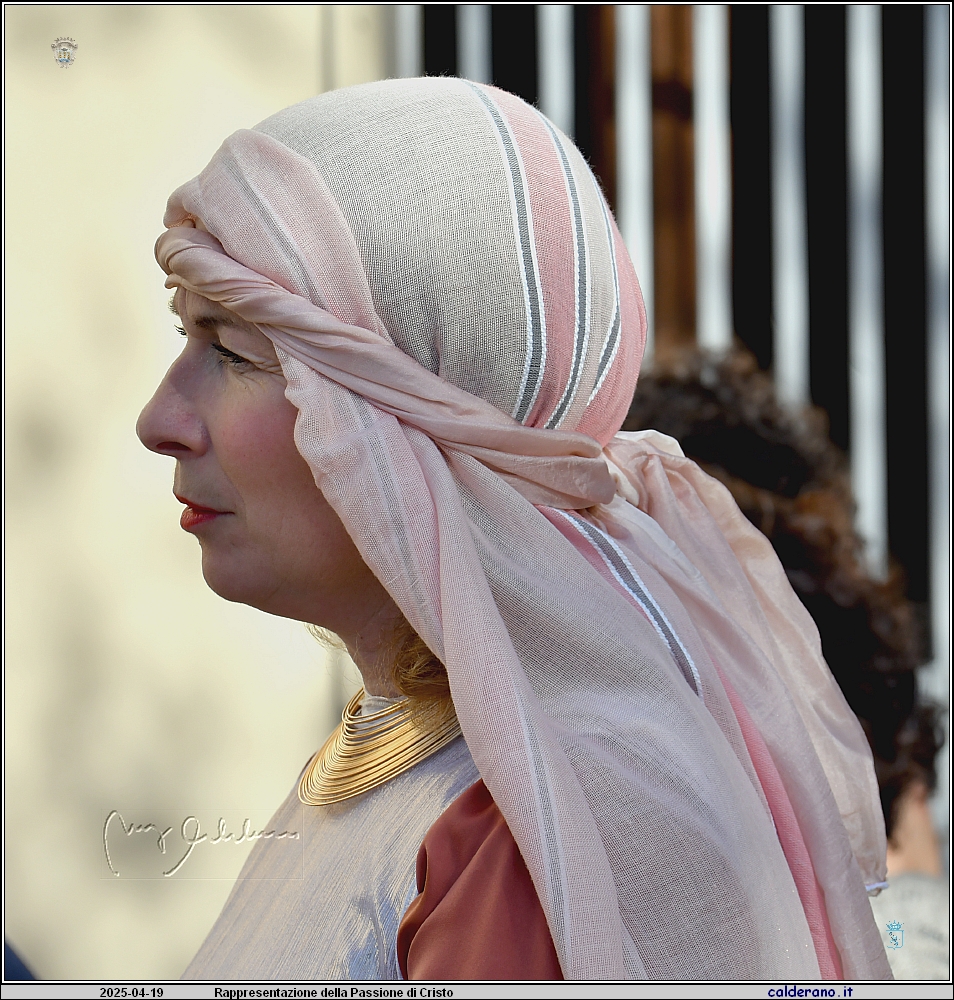 25D_6609a.jpg
