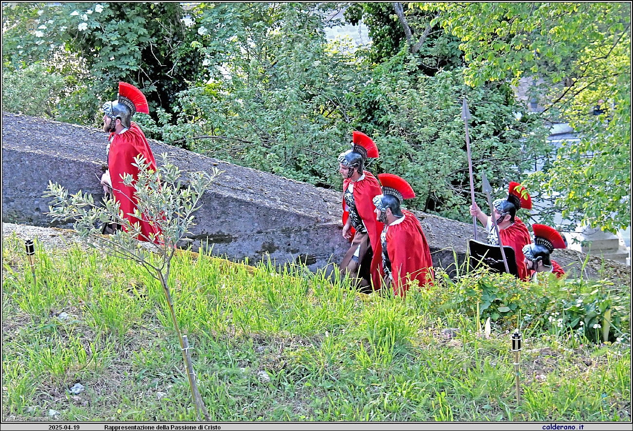 25D_6660.JPG