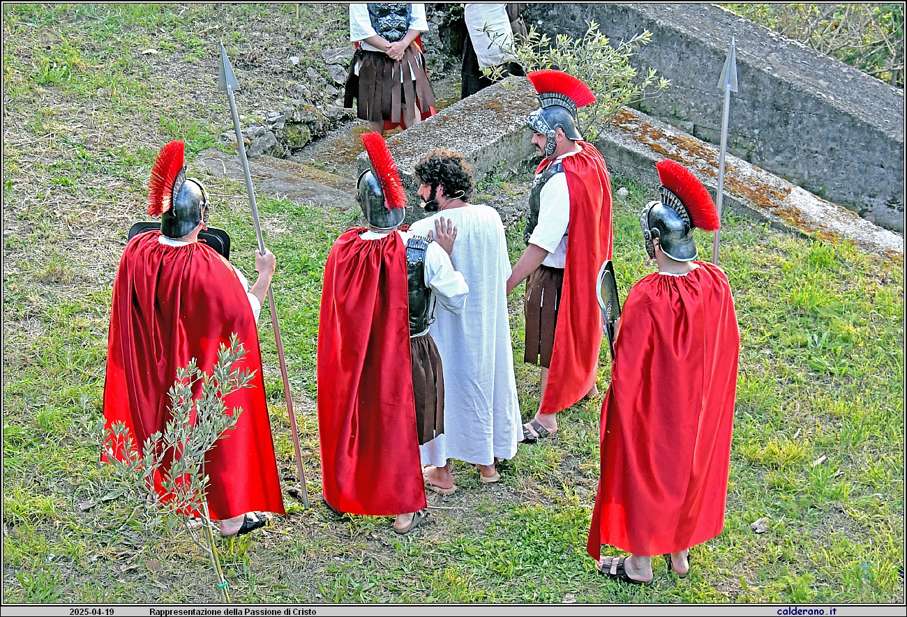 25D_6665.JPG