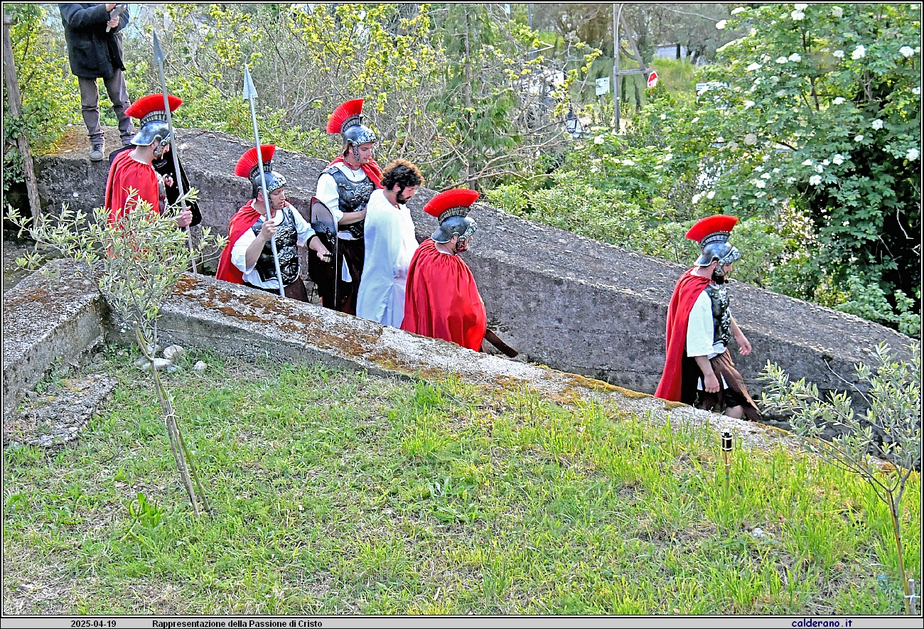 25D_6666.JPG