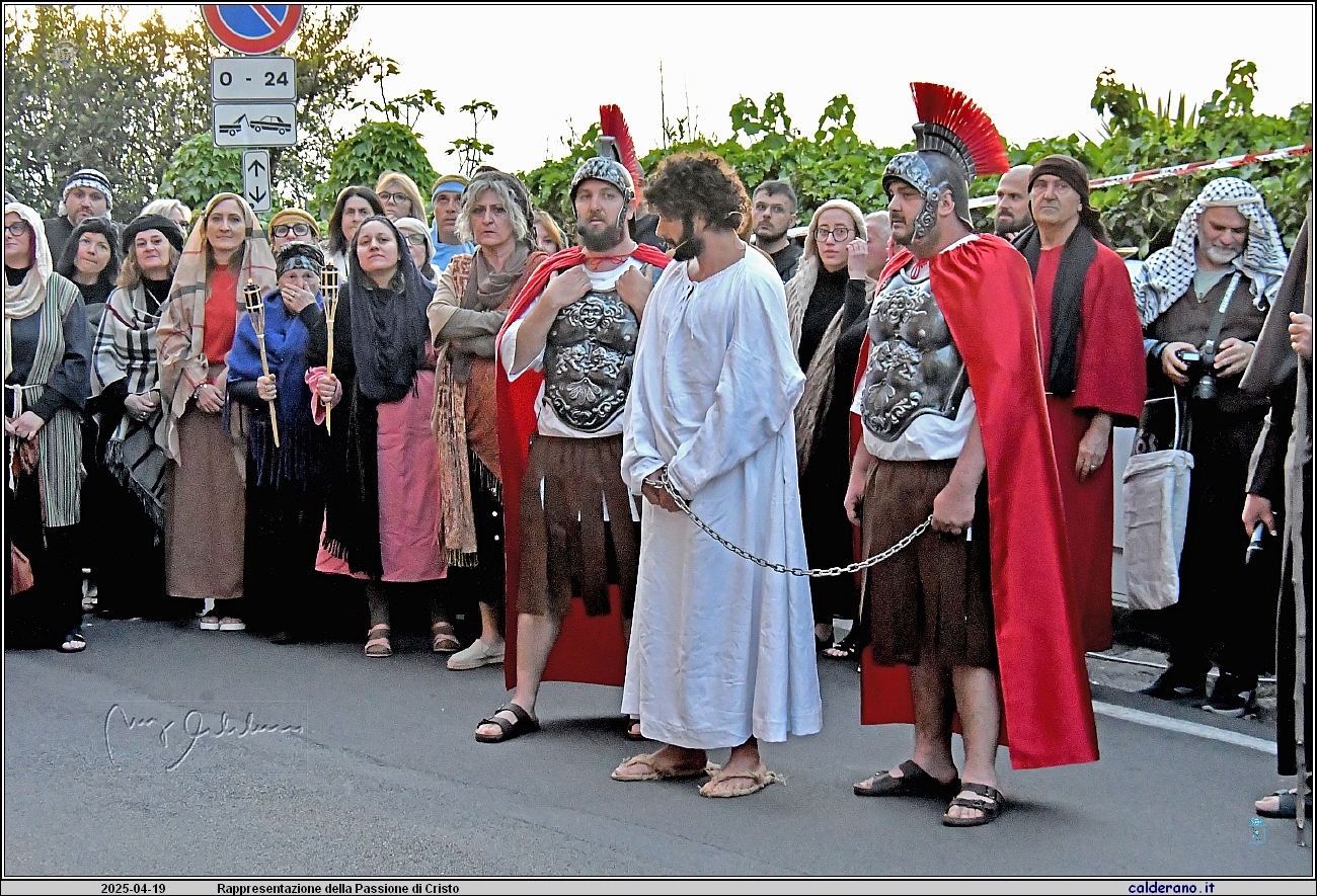 25D_6680.JPG