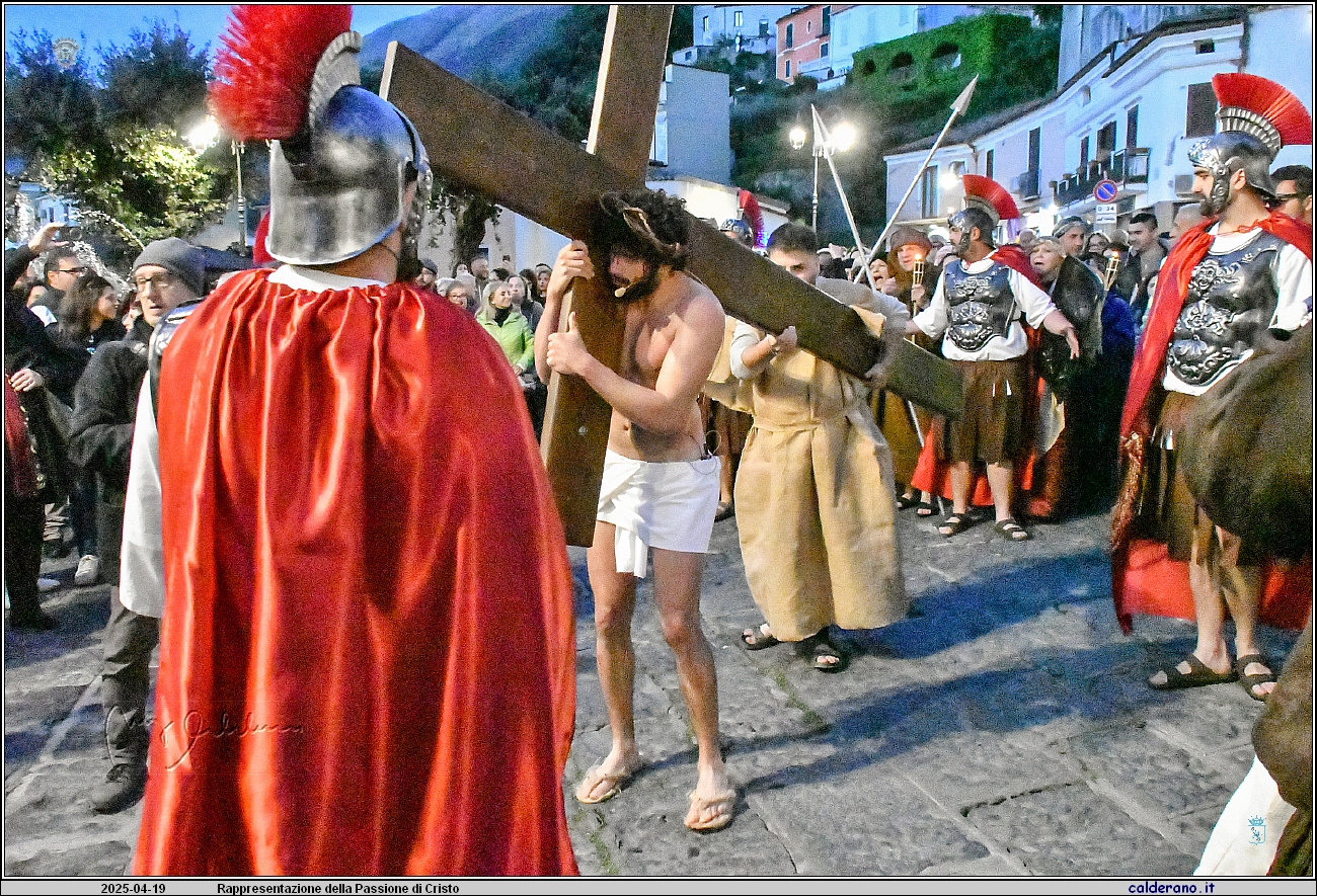 25D_6746.JPG