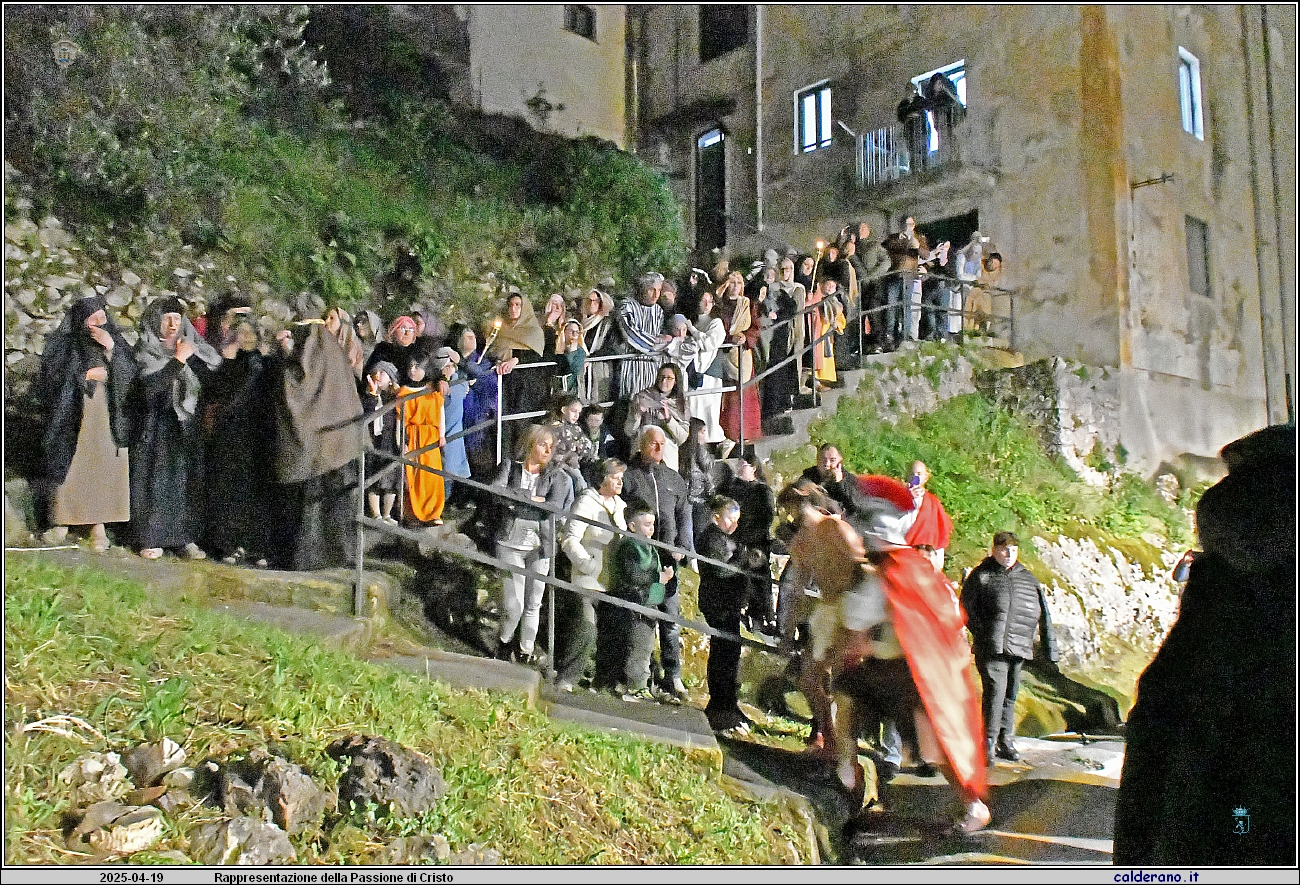 25D_6813.JPG