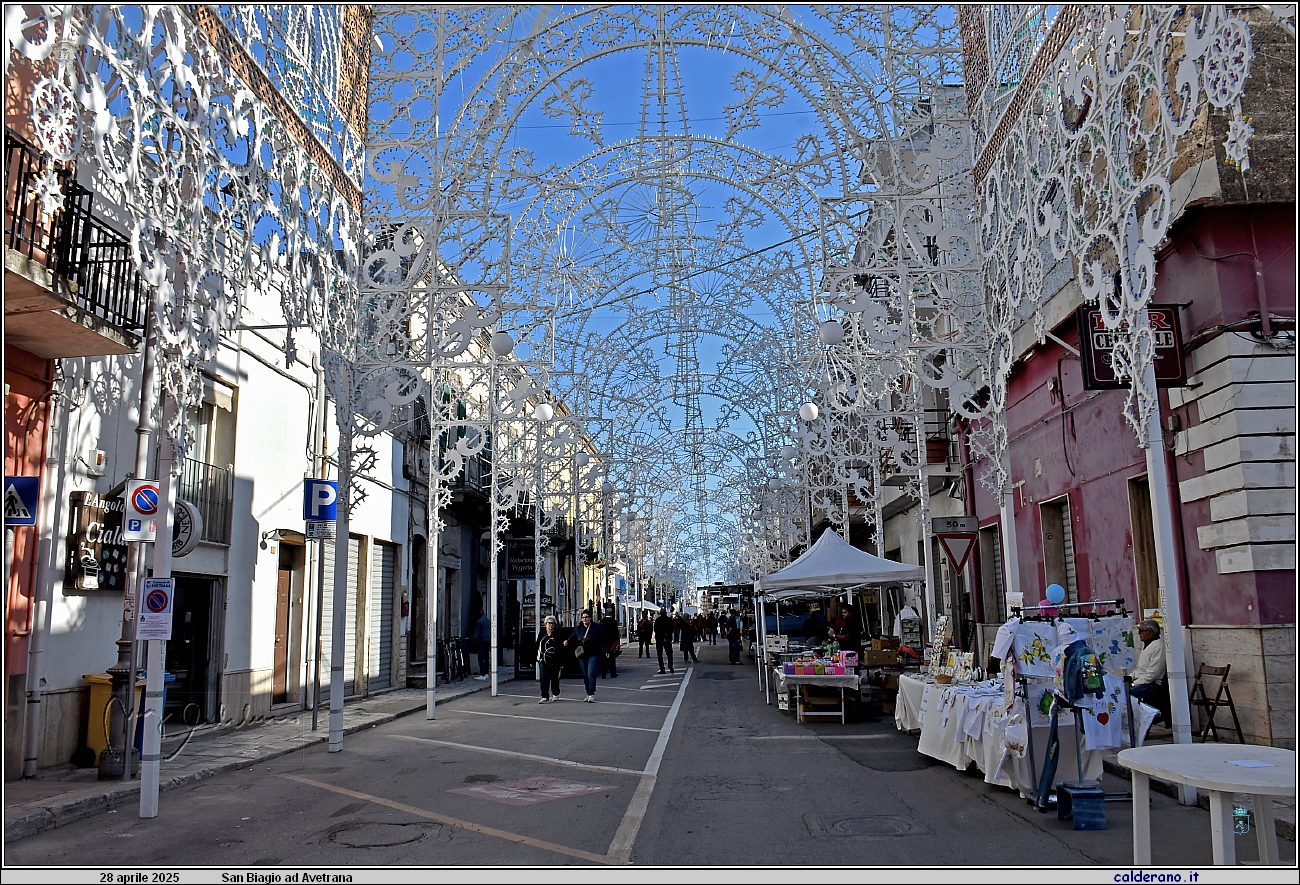 25D_7054.JPG