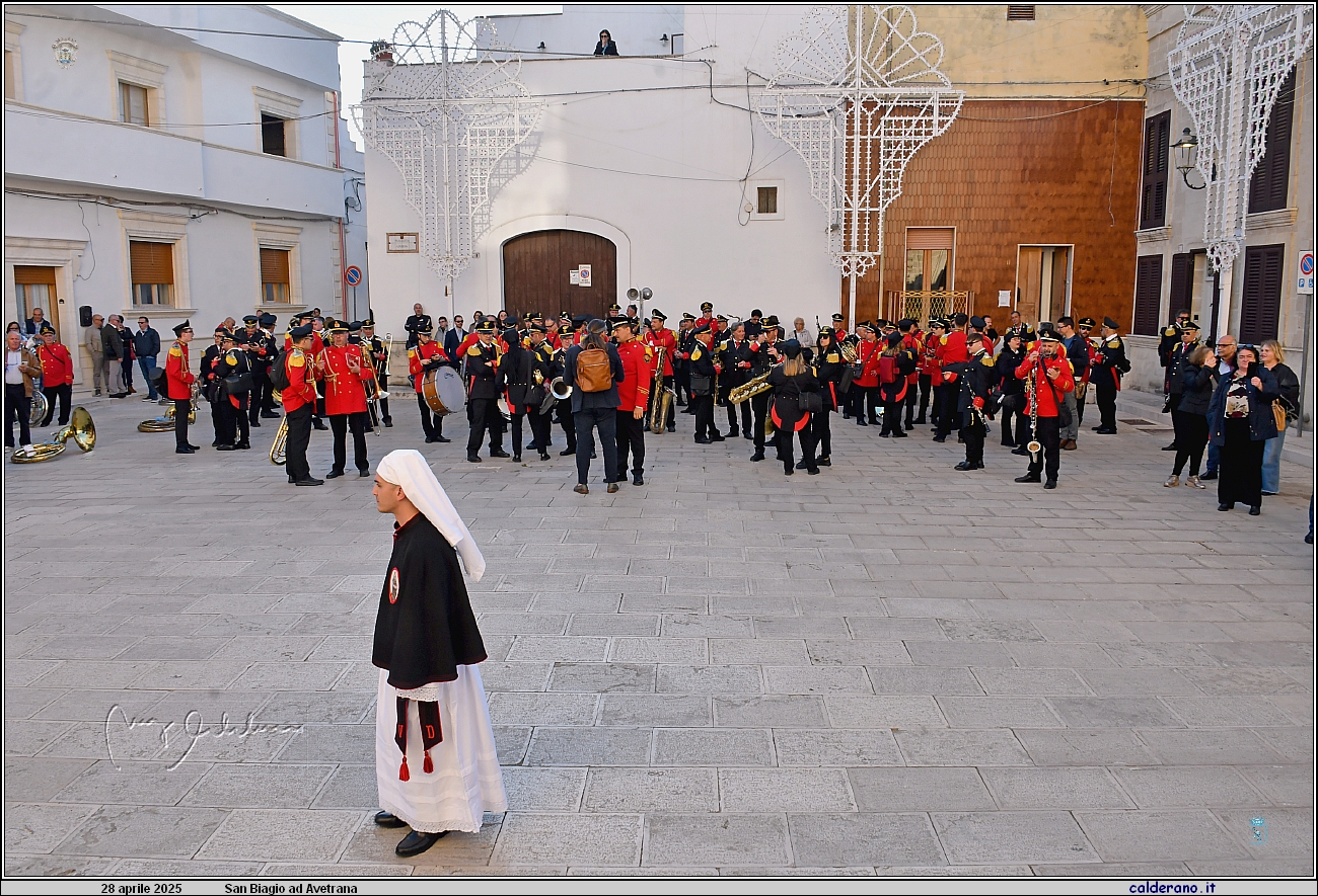 25D_7064.JPG