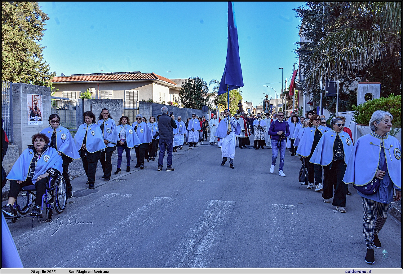 25D_7105.JPG