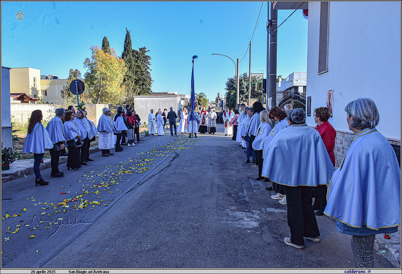 25D_7110.JPG