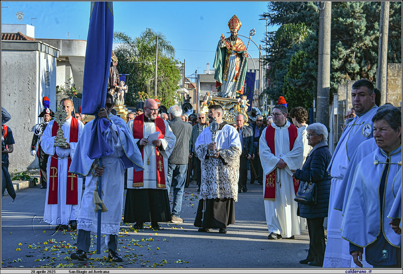25D_7111.JPG