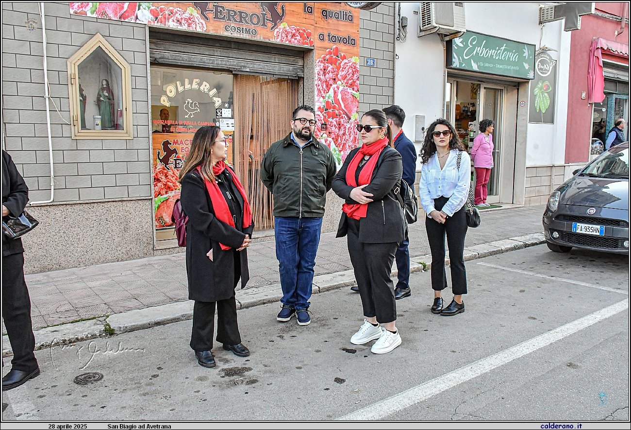 25D_7131.JPG
