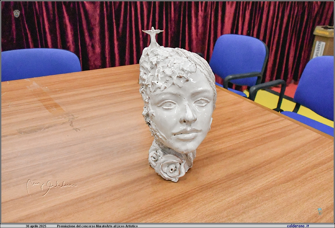 25D_7298.JPG
