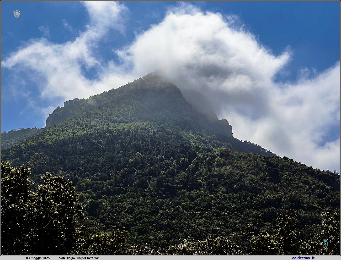 25E_7476 IMG_3299.jpeg