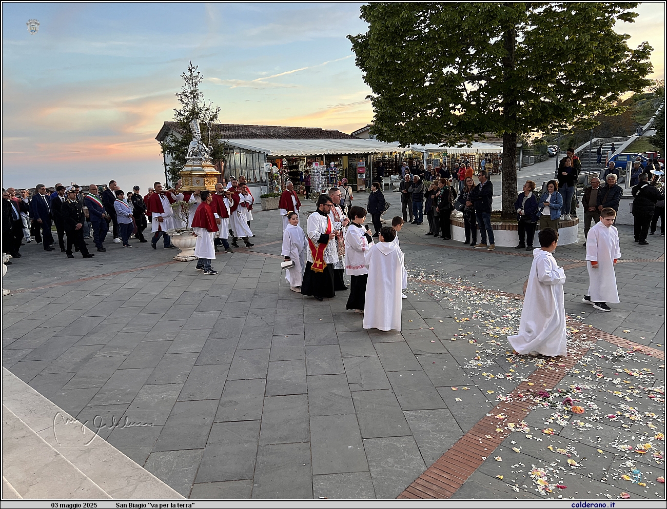 25E_7692  IMG_3317.jpeg