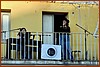 25E_7406.JPG
